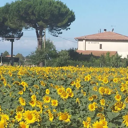 Apartment Bilocale Le Pinete A