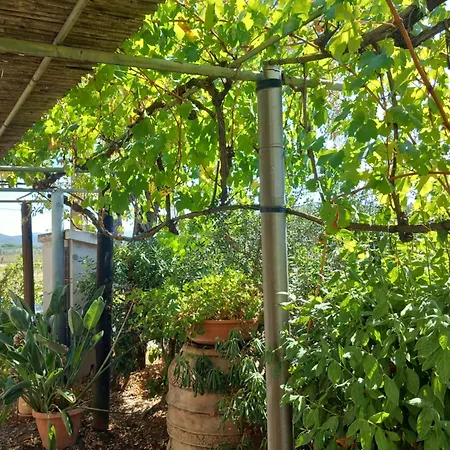 Bilocale Le Pinete A Lejlighed