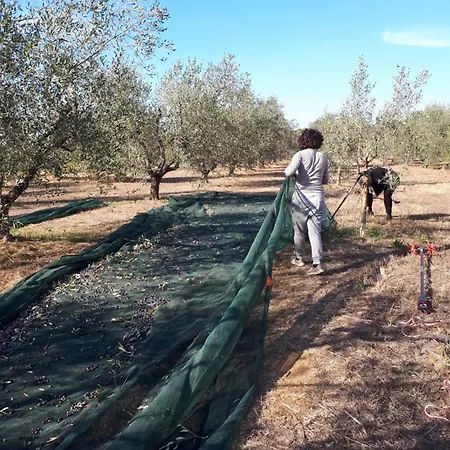 Bilocale Le Pinete A * Riotorto