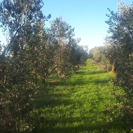 Bilocale Le Pinete A Lejlighed Riotorto